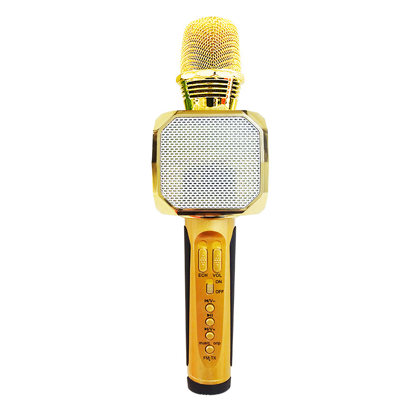 Micro SD-10 karaoke Bluetooth Có thể lưu bài và Mở nhạc - Hàng chính hãng