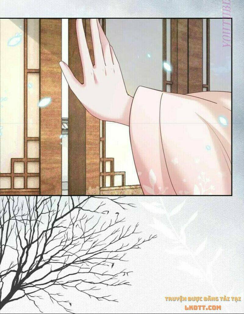 hắc hóa nam chính trực tuyến nuôi thỏ chapter 55 17