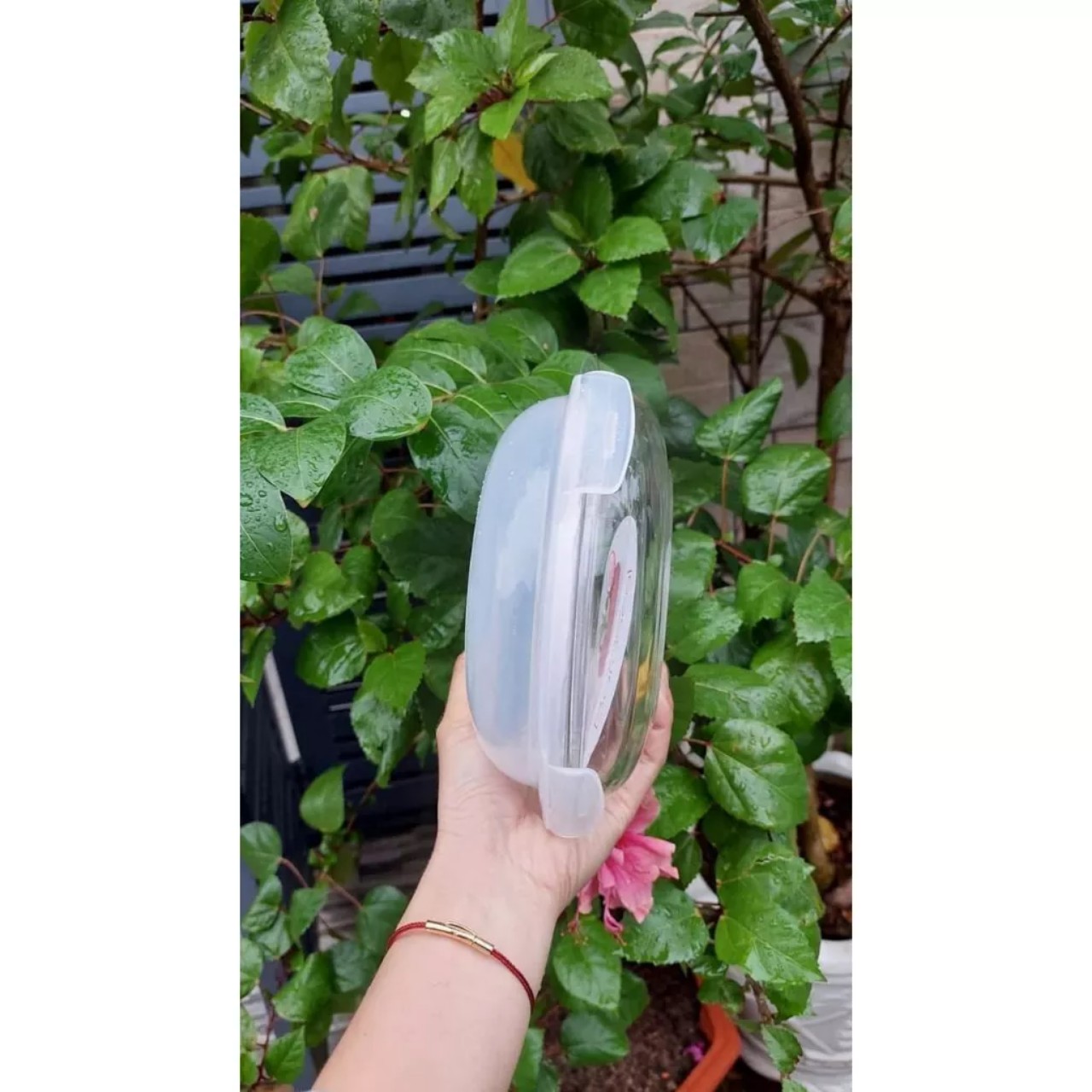 Hộp Thủy Tinh Chịu Nhiệt Cao Cấp Nắp Vòm LLG883 18cm