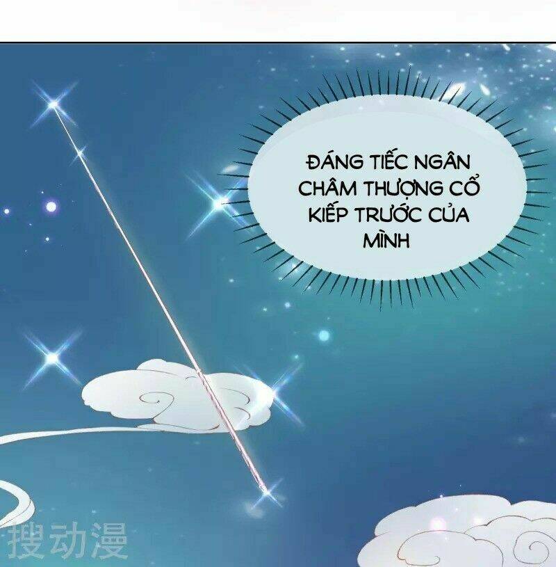 thị huyết y phi chapter 32 19