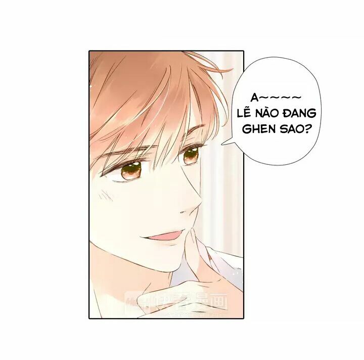 Tình yêu là màu hoa anh thảo chapter 26.1 35