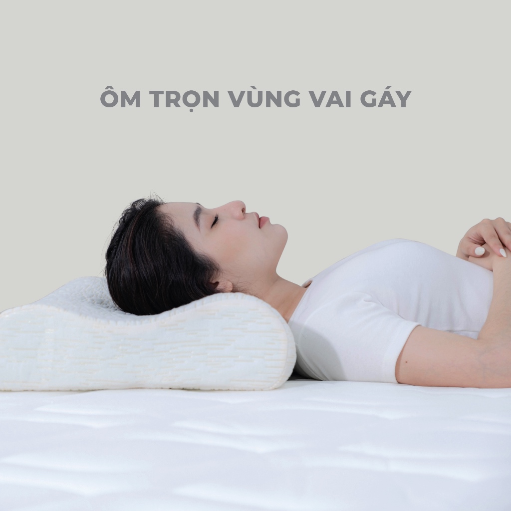 Gối Ngủ Foam Gòn Bedding Thiết Kế Công Thái Học Chống Đau Mỏi Vai Gáy 30x50, 38x60 cm