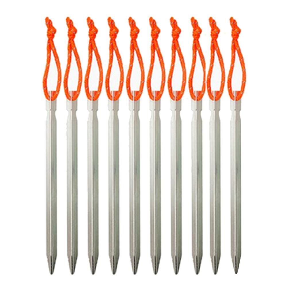 Professional Stainless Steel Ground Nails for Picks for Picks