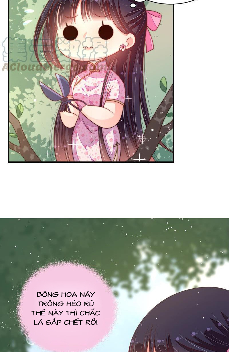 ngày nào thiếu soái cũng ghen chapter 343 16