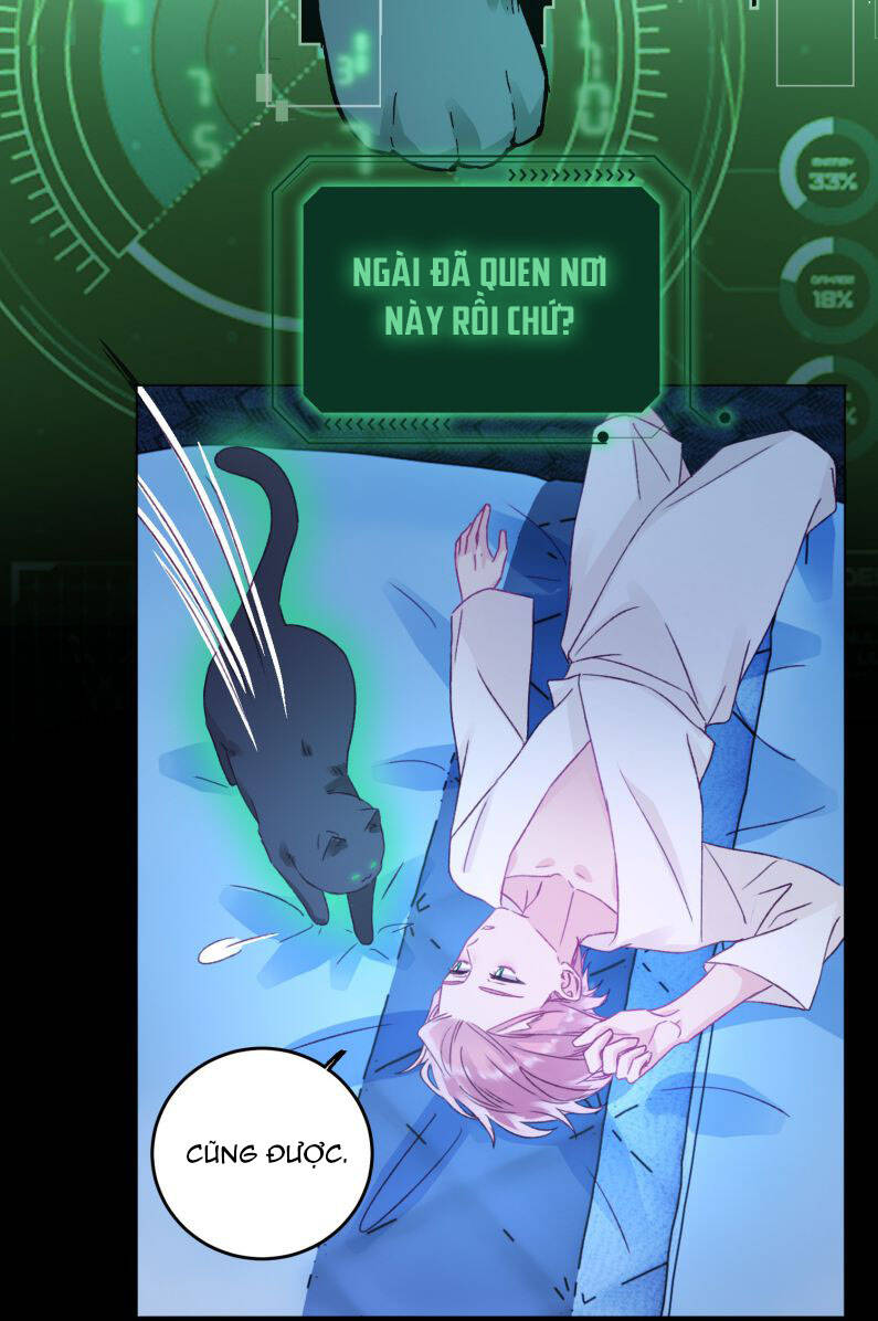 tôi phải làm 1 kẻ đại xấu xa chapter 47 25