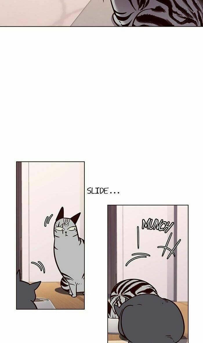 biến thân thành mèo chapter 56 41