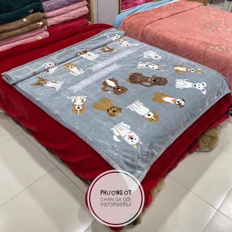 Chăn tuyết Hàn quốc 2kg-1m5x1m9