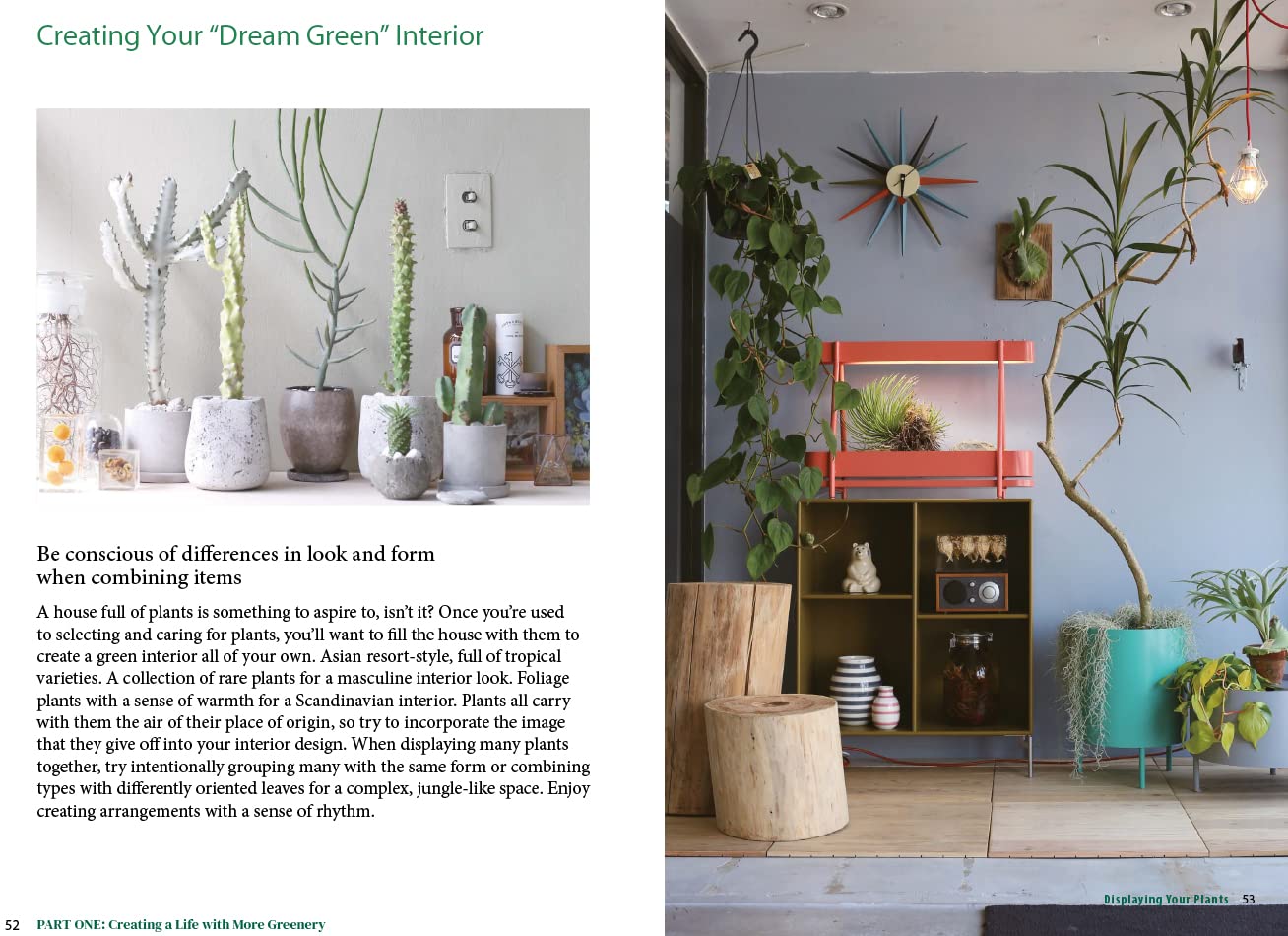 A Beginner's Guide to House Plants: Creating Beautiful and Healthy Green Spaces in Your Home