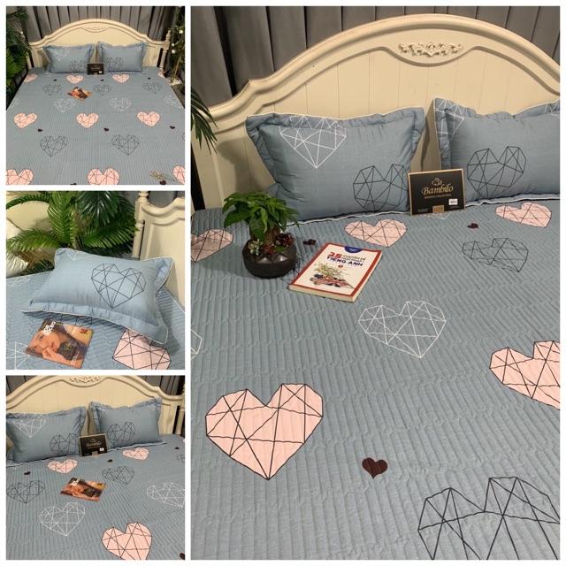 Bộ ga trần bông bo chun Bambillo - cotton 100%, vừa đệm cao 15cm, đủ kích thước