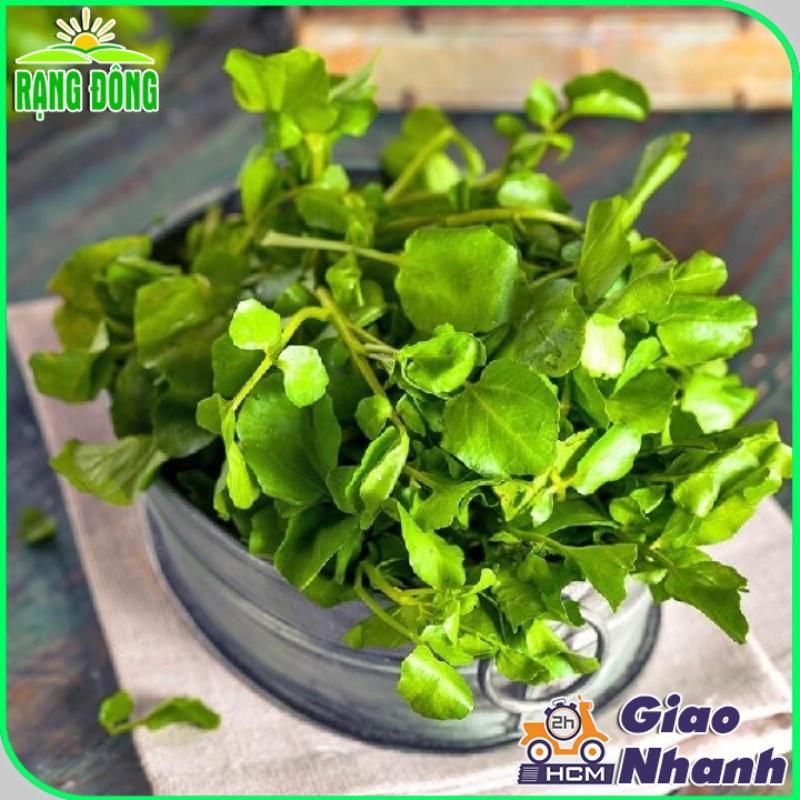 Hạt giống Xà Lách Xoong Sinh Trưởng Khỏe, Trồng Quanh Năm - Hạt Giống Rạng Đông