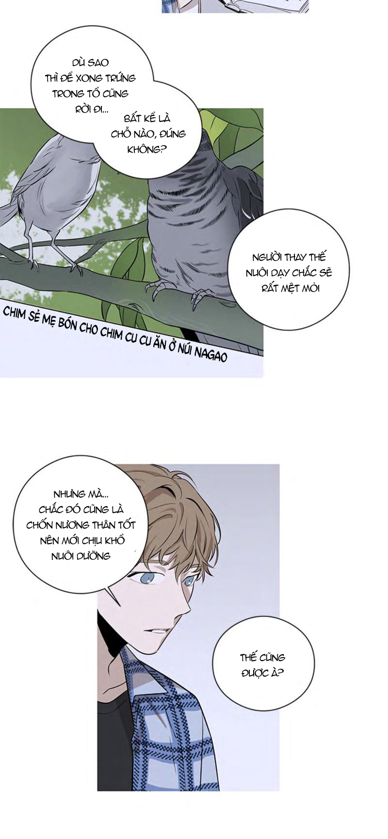 the wing chapter 2 3