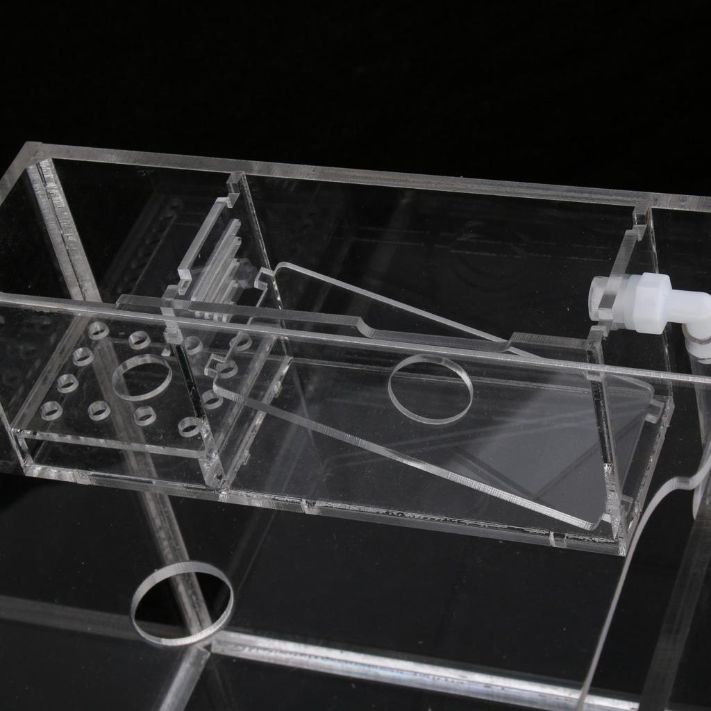 Tropical Betta Mini Tank Arcylic Aquarium Small Tank
