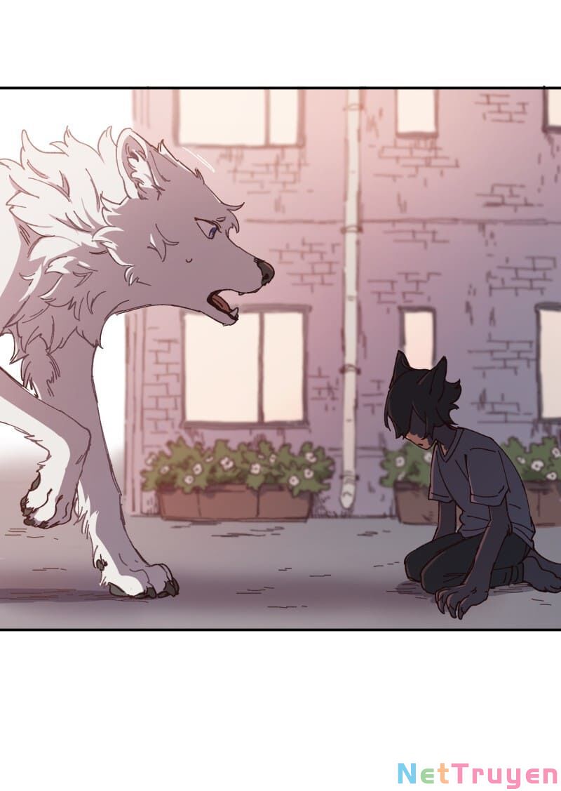 lumine - cội nguồn ánh sáng chapter 92 4