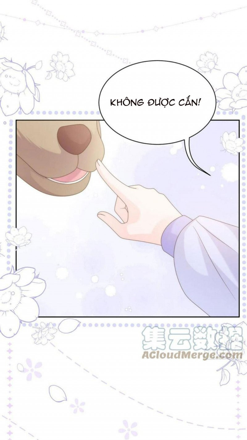 đoàn sủng lão đại ba tuổi rưỡi chapter 181 20