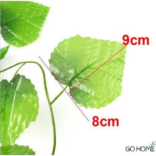 Dây Lá Thường Xuân Dây Lá Nho 2m - trang trí tường rào, giàn hoa, dây leo