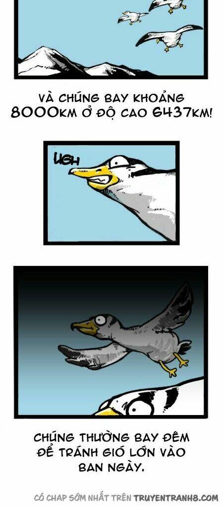 earth, human, and animal chapter 18 17