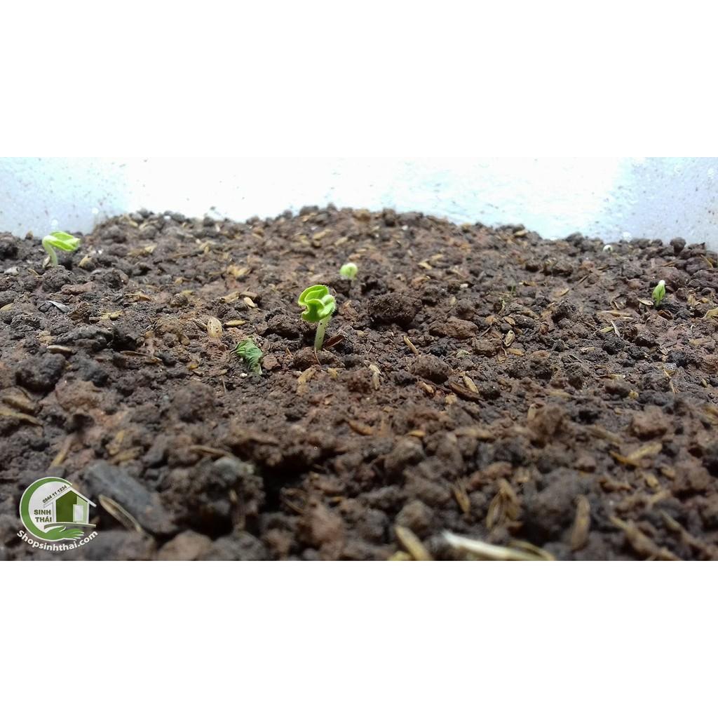 Đất Sạch Dinh Dưỡng Hữu Cơ H6 Trồng Cây - 5Dm3