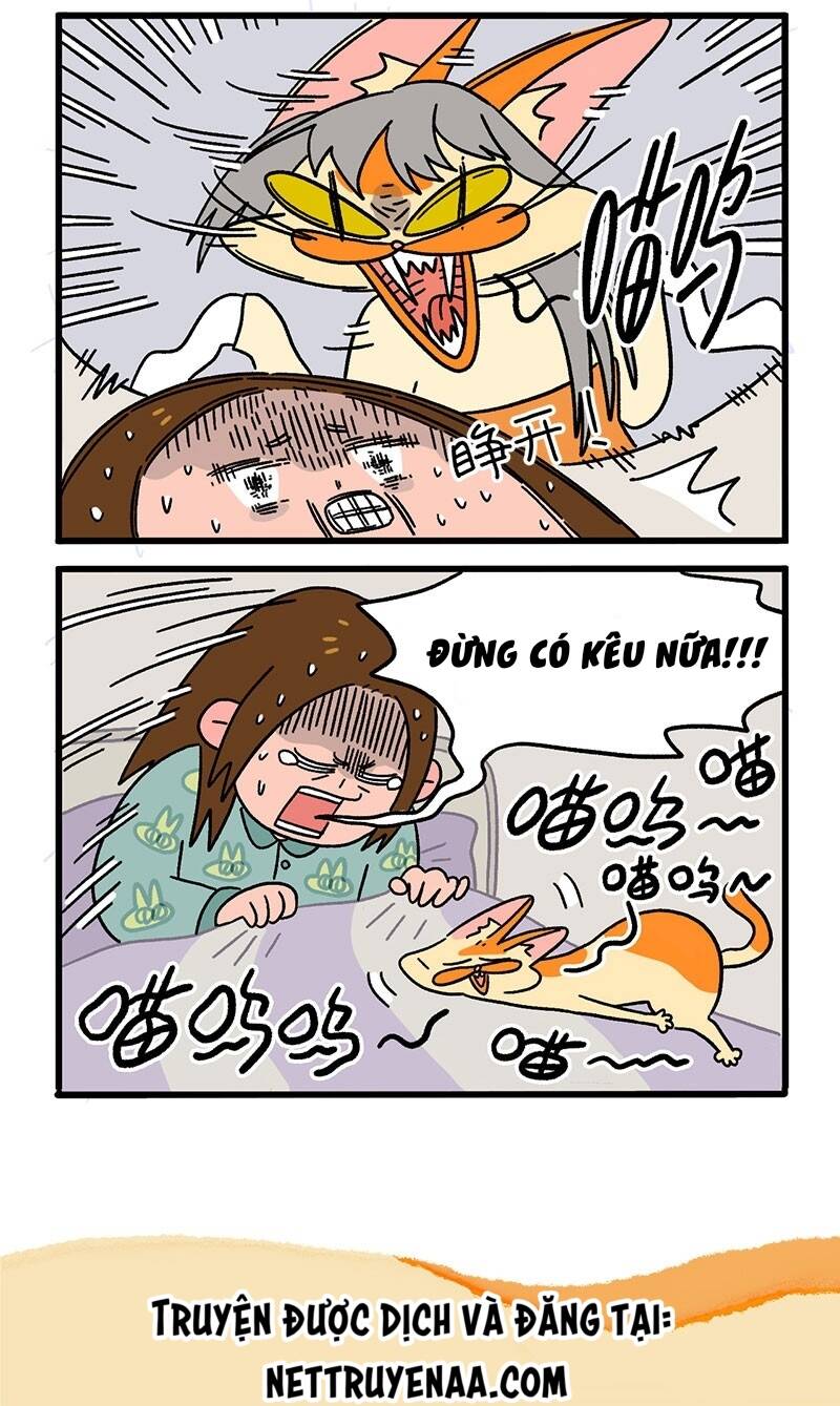 a mãn và mạch trà chapter 12 6