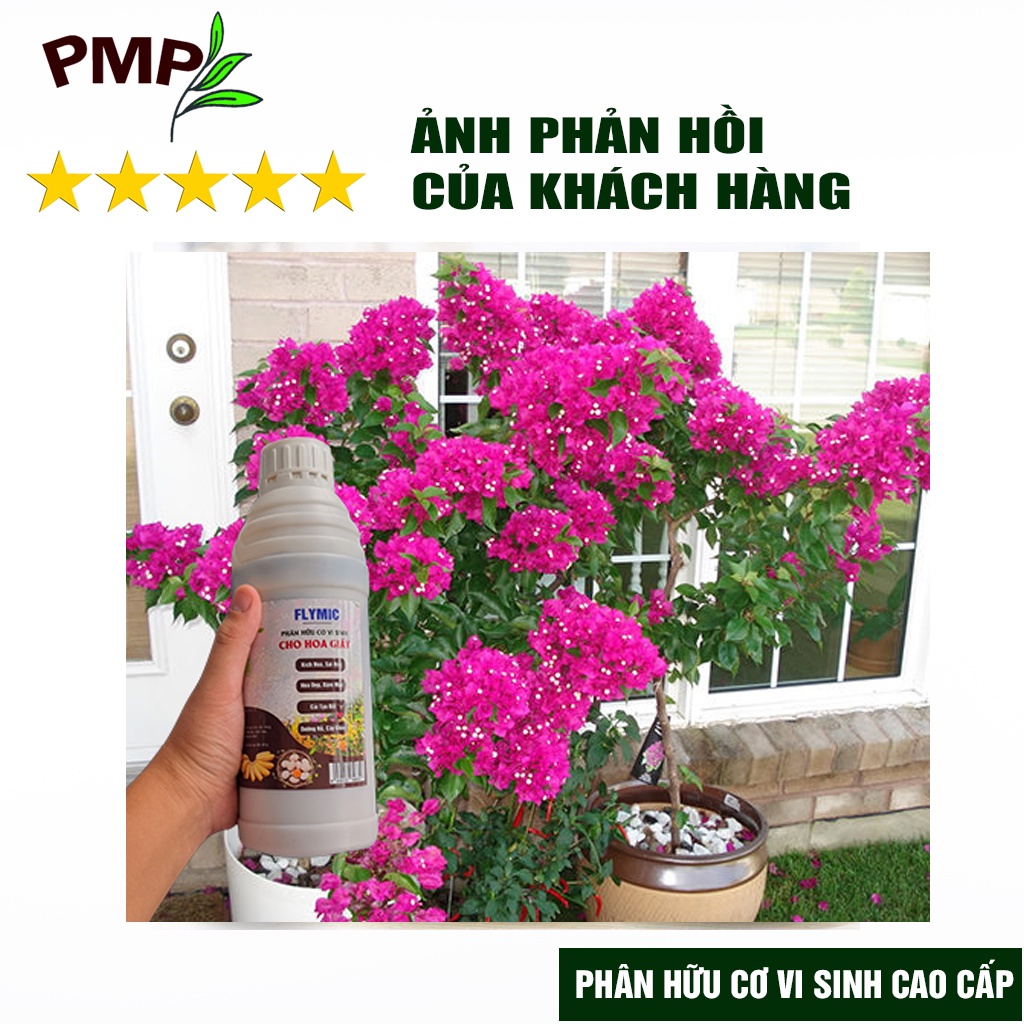 Phân bón hoa giấy Flymic PMP giúp kích hoa, lặp hoa nhanh, sai hoa, hoa nở đồng loạt chai 1 lít