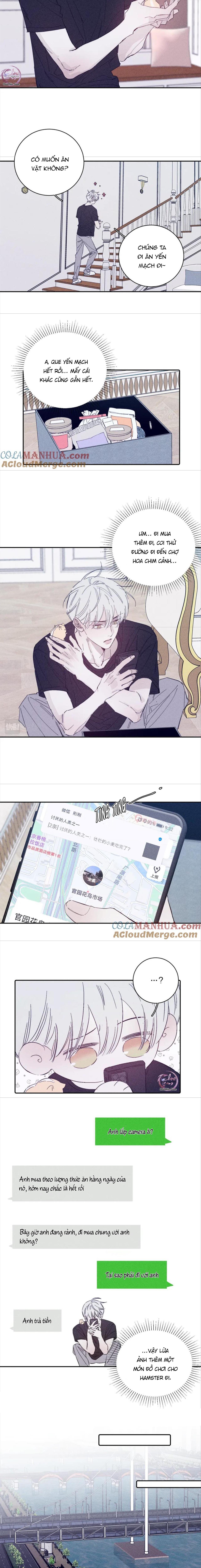 mùa xuân đang đến chapter 95 5