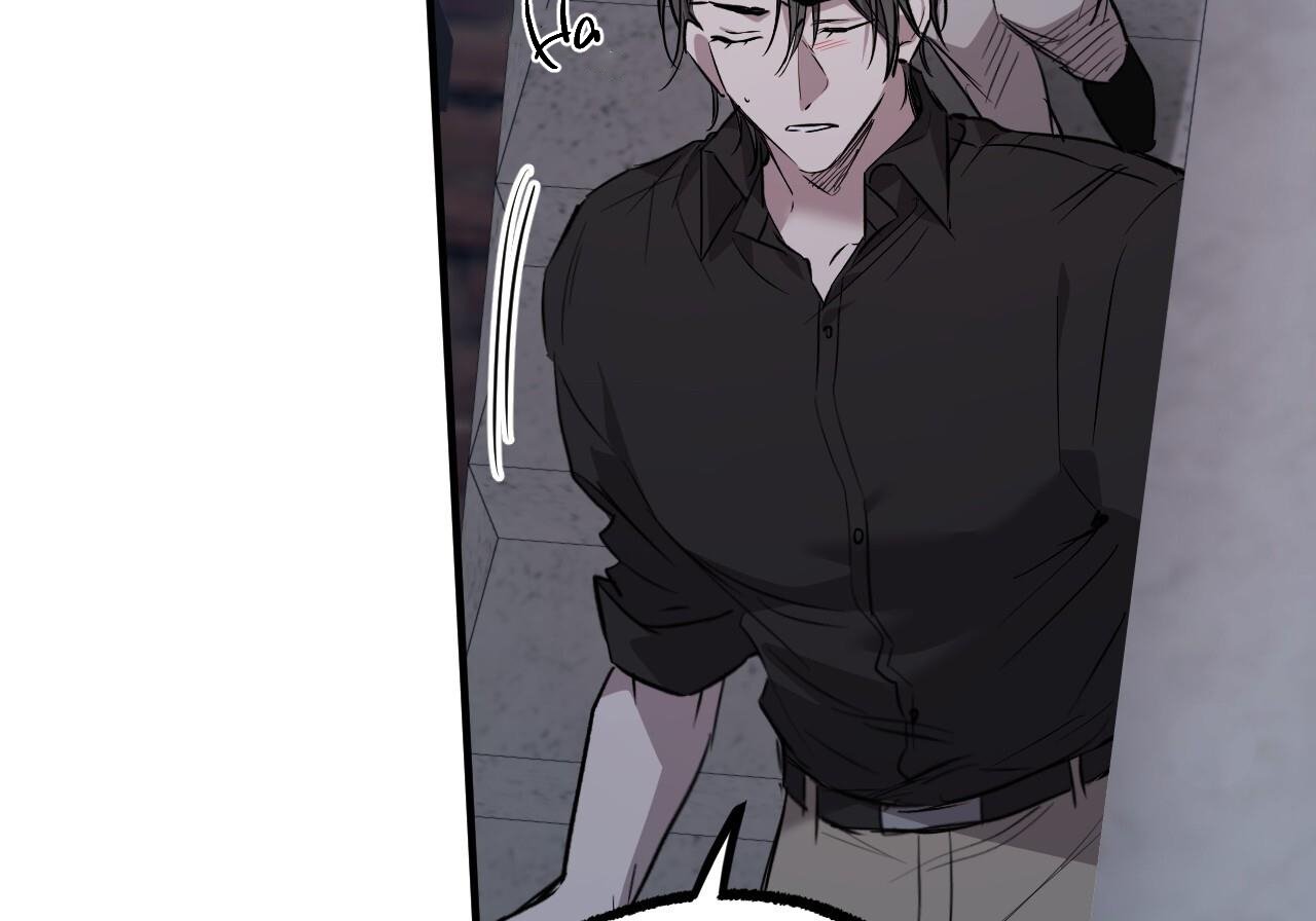 những chú thỏ của hapypy chapter 60 75