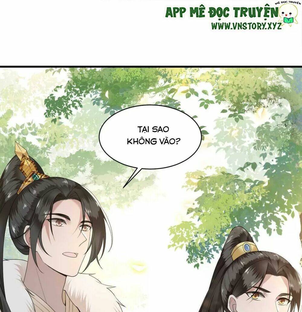 phượng hoàng vu phi chapter 112 4