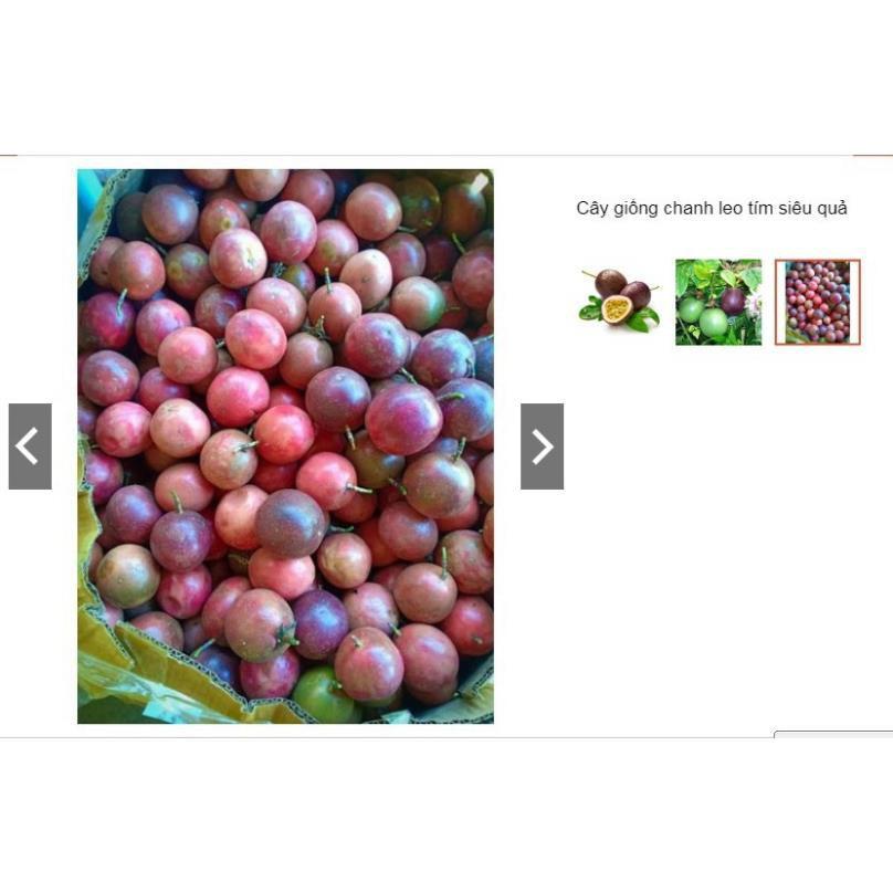 Sản phẩm Cây Ăn Trái cây giống chanh leo siêu quả