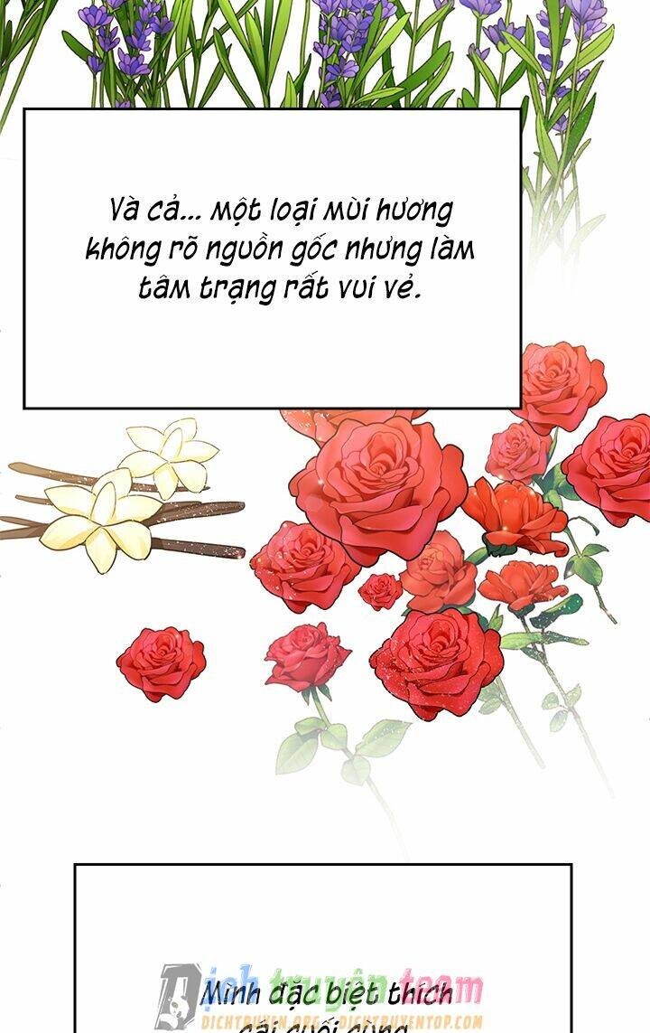 tiểu thư scarlet, em không muốn trả thù sao? chapter 33 10