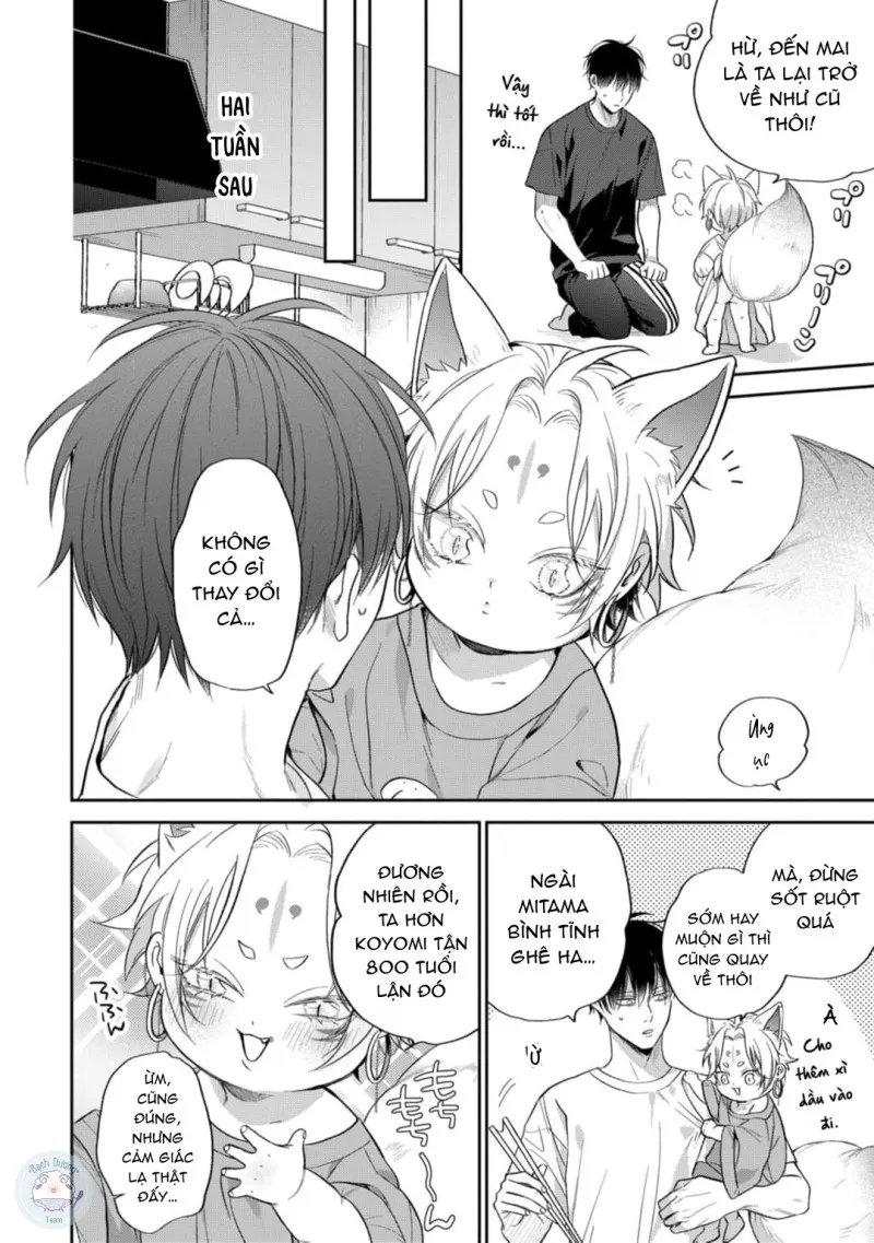 đặc ân của yêu hồ chapter 4 12