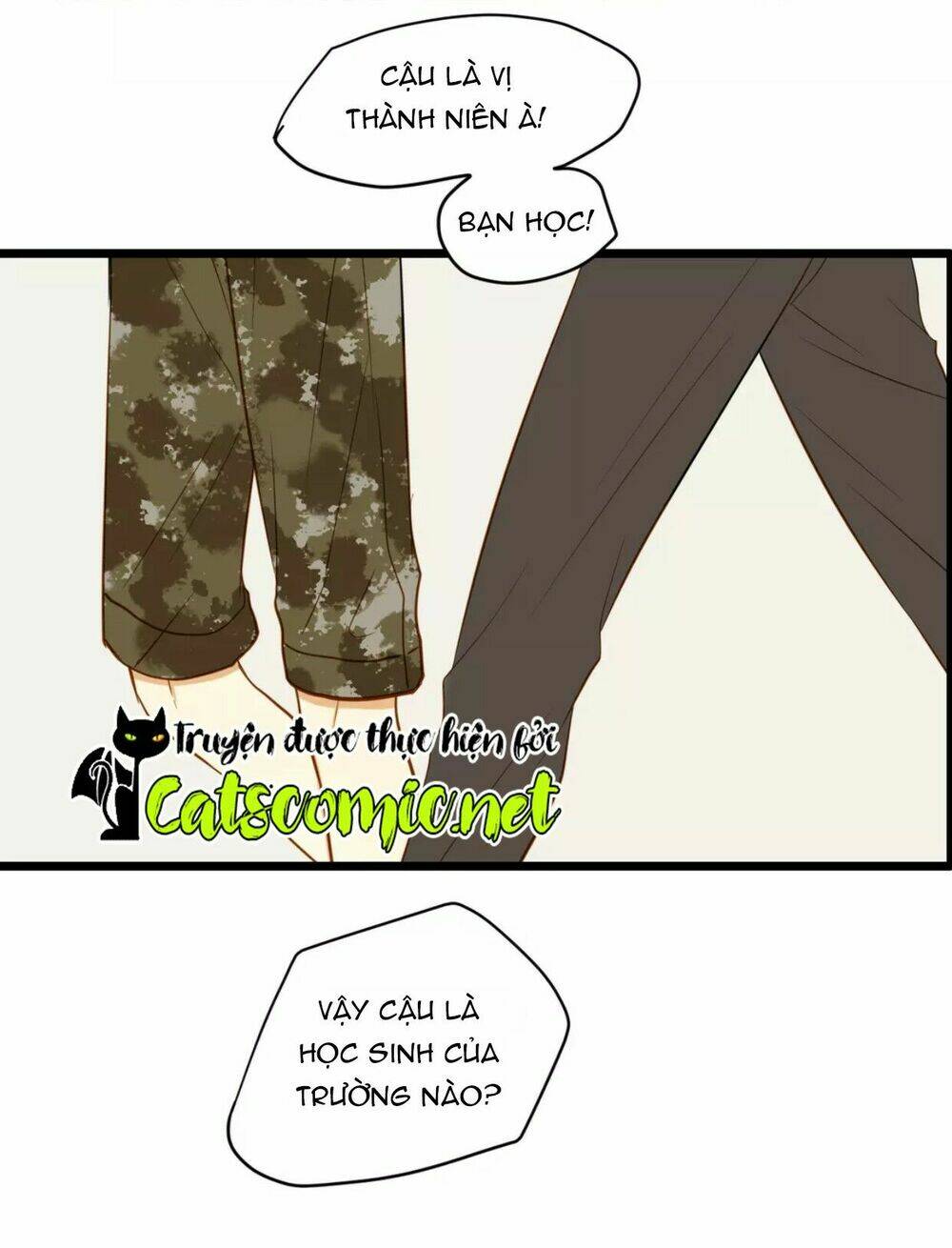 điều giáo quan hệ chapter 19 27