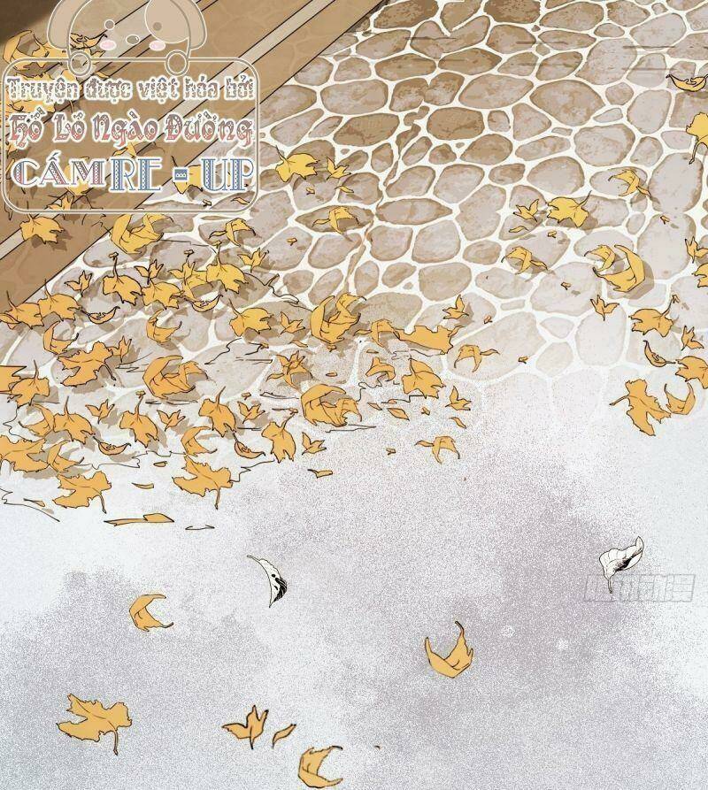 sát thủ vương phi không dễ chọc chapter 38 46