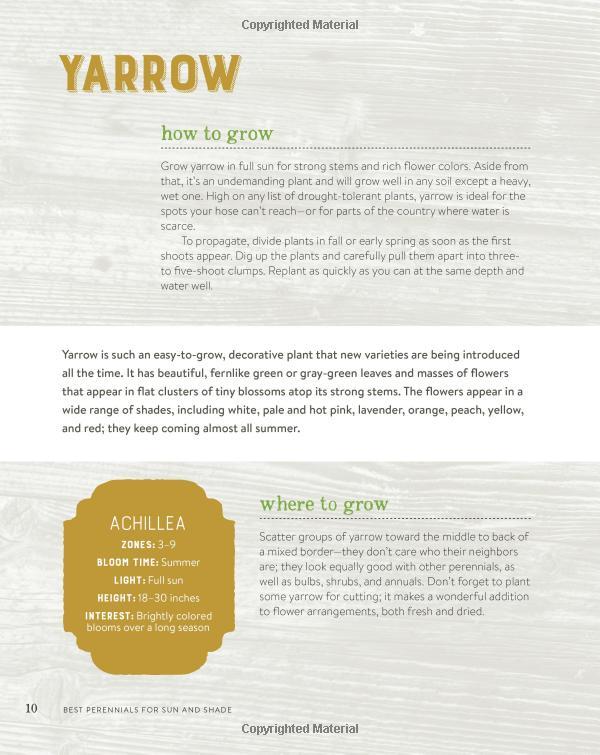 Best Perennials for Sun and Shade (Home Grown Gardening)