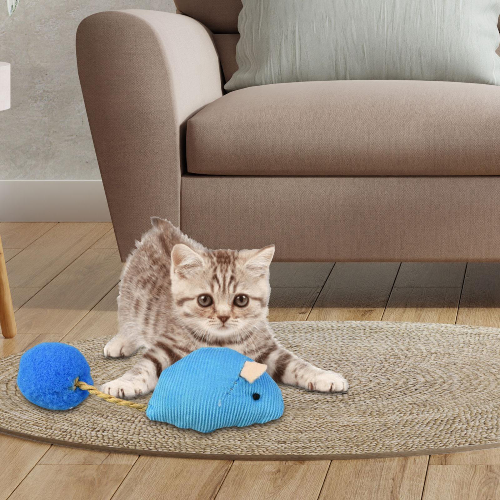 Cat , Cat Toy Soft Small Cat Toys for Indoor Cats Interactive Cat Toy for Cats and Kitten