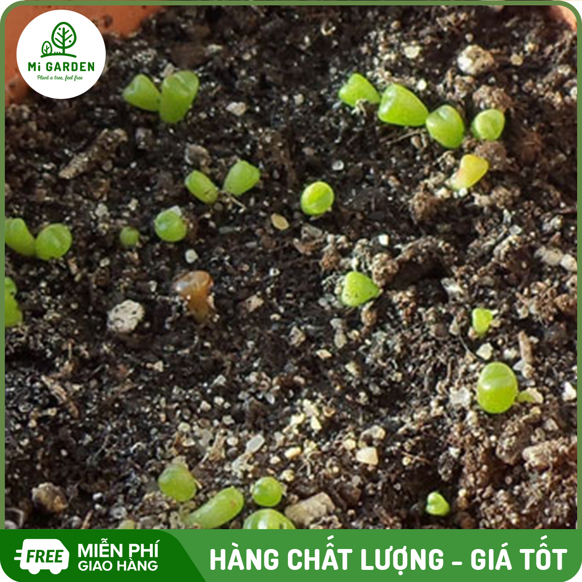 Đất sạch hữu cơ Mi Garden 1kg trồng rau, trồng hoa, cung cấp chất dinh dưỡng cho cây giúp cây phát triển tốt