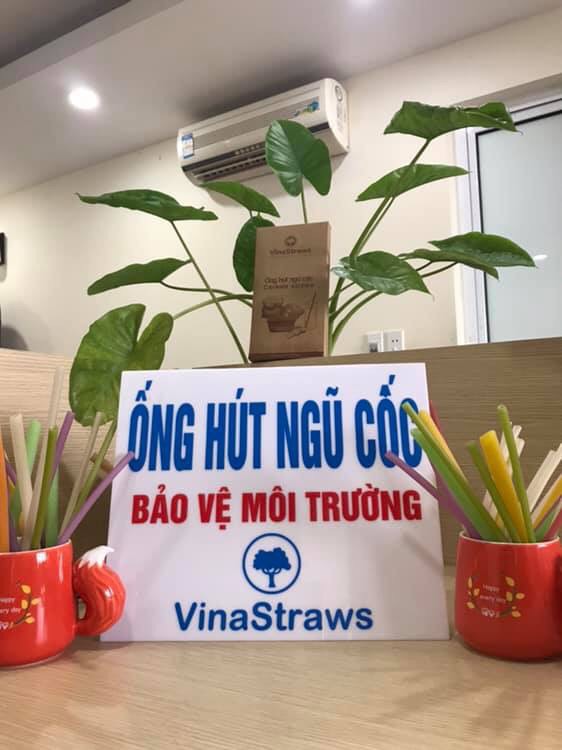 Ống hút gạo ( Ống hút gạo Rice straws Túi 100 ống hút sinh tố nhiều màu)