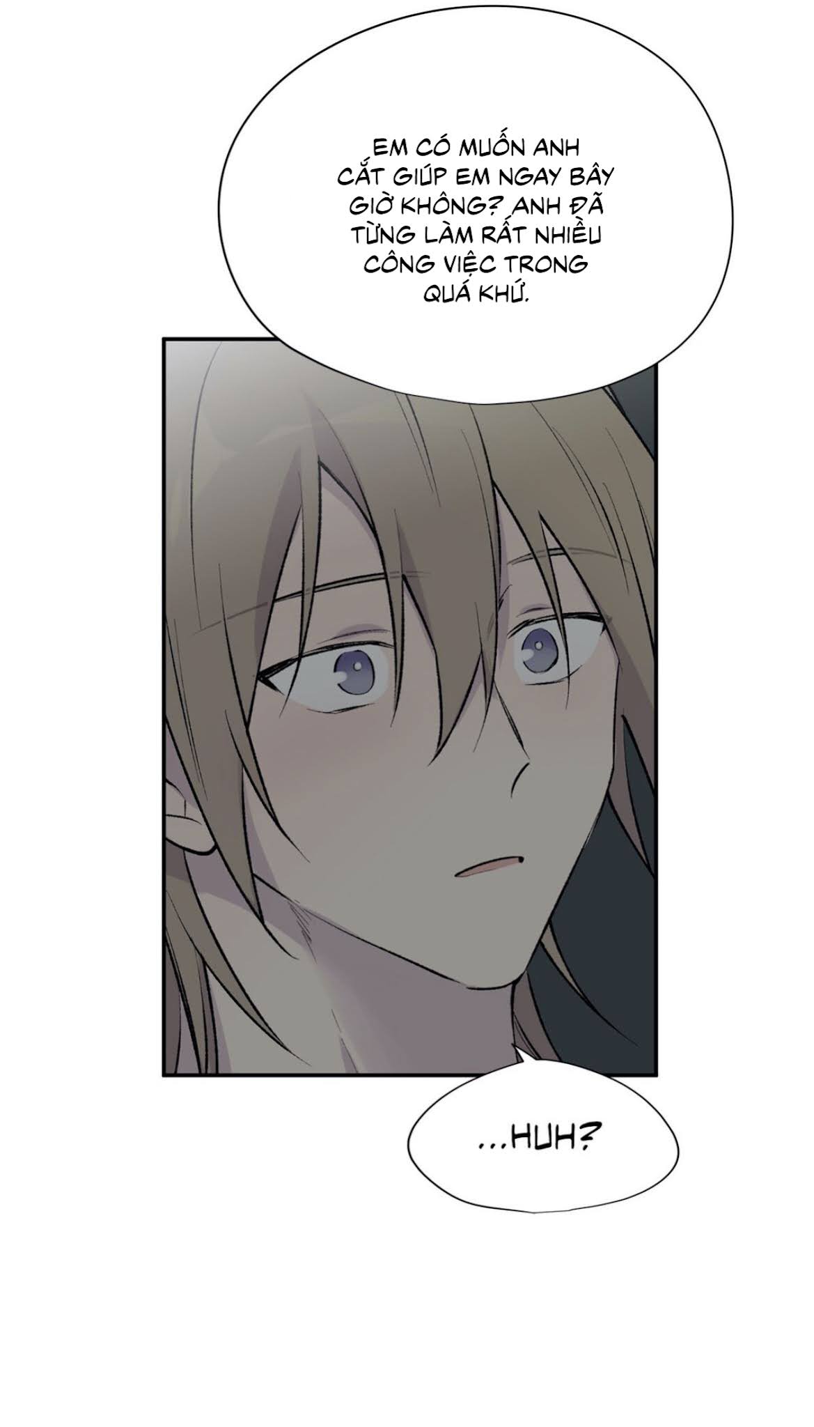 đừng viết nữa, tác giả thân mến! chapter 51 62