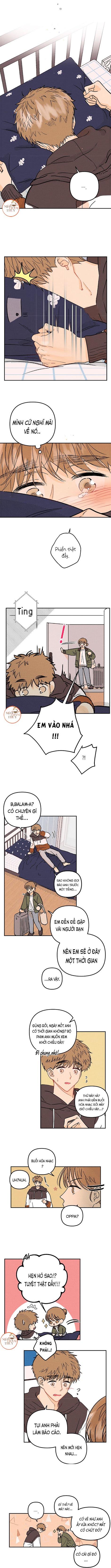 punk dunk funk chapter 23 5