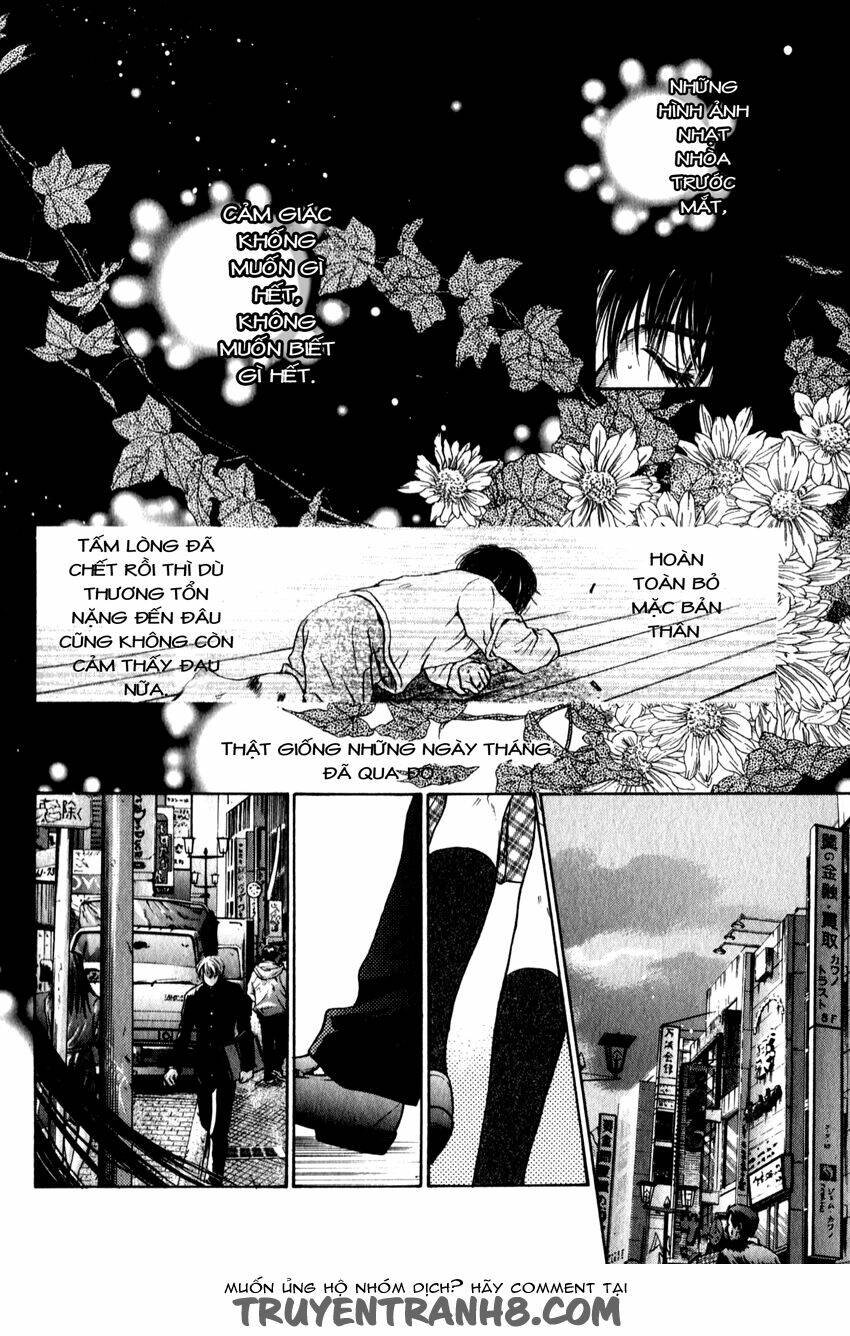 komatta toki ni wa hoshi ni kike! chapter 33 5