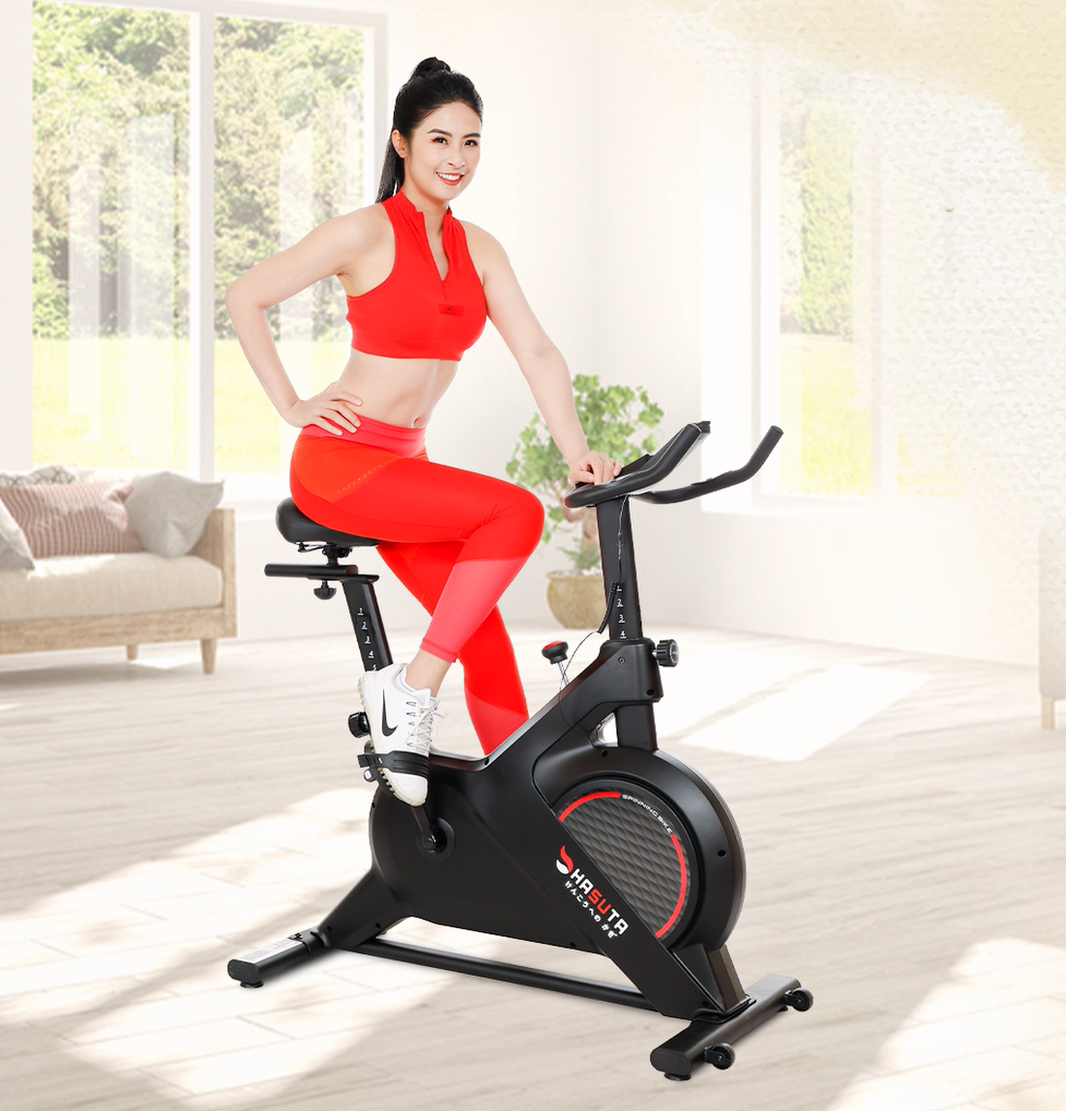 Xe đạp tập thể dục HASUTA HEB-811 - Hàng chính hãng