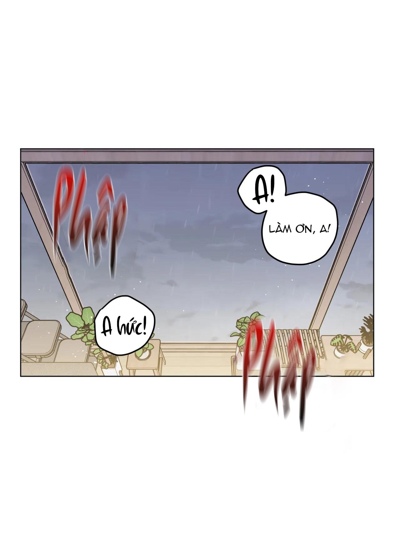 cơn mưa rào mùa hạ chapter 23 7