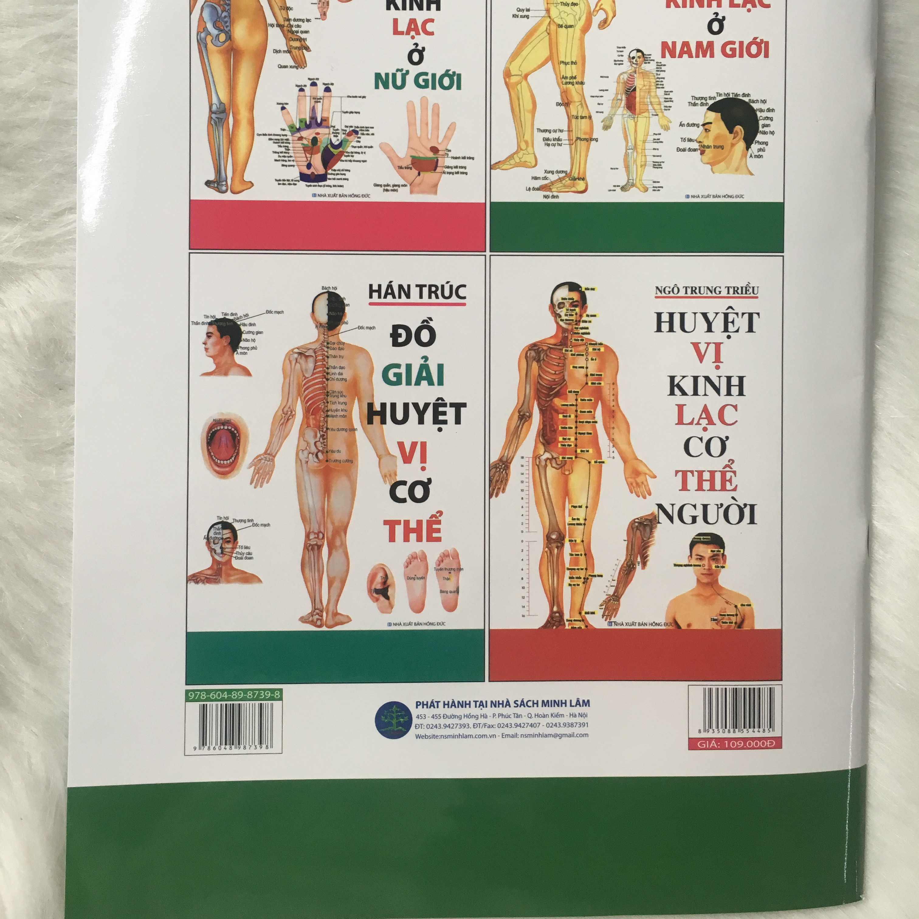 Đồ Hình Huyệt Vị Kinh Lạc Ở Nam Giới - Tặng Kèm Bookmark GIGA