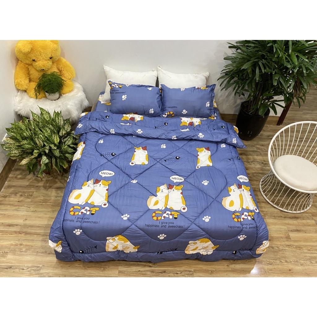 Set phao 5 món siêu rẻ