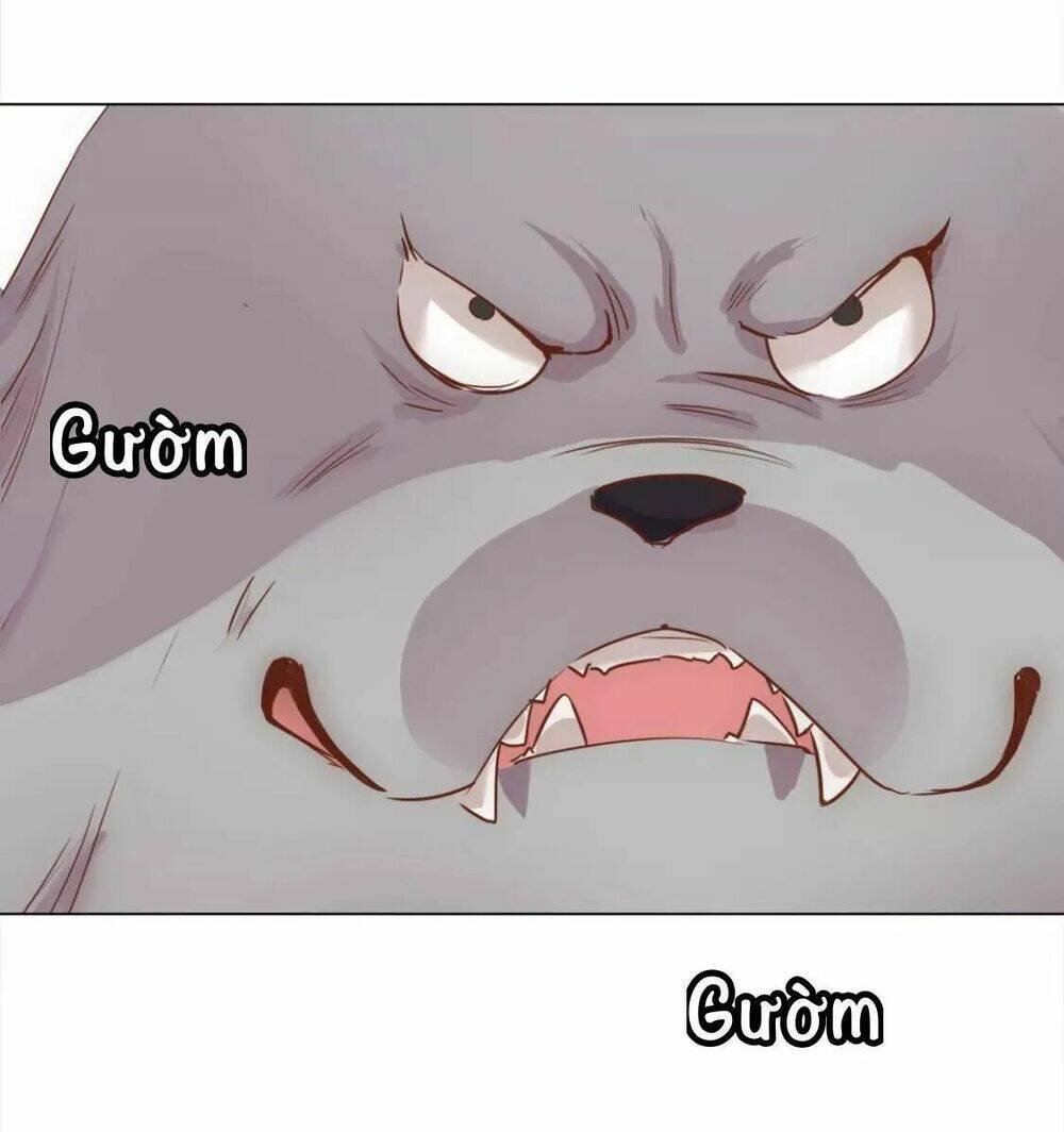 vương diệp, đuôi của ngươi đã biến mất chapter 10 20