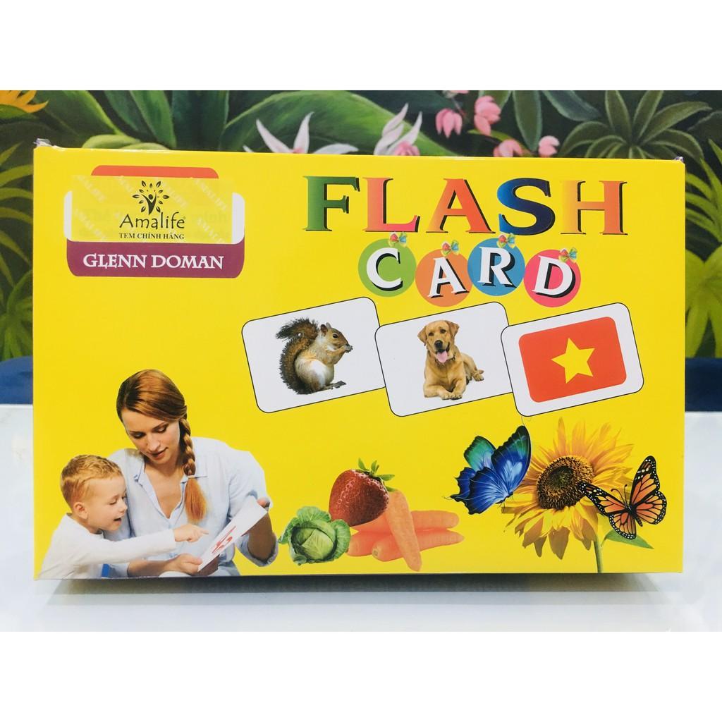 Đồ chơi giáo dục Thẻ Học Thông Minh 19 Chủ Đề loại to song ngữ tiếng Anh loại chuẩn Glenn Doman Flashcard Loại To