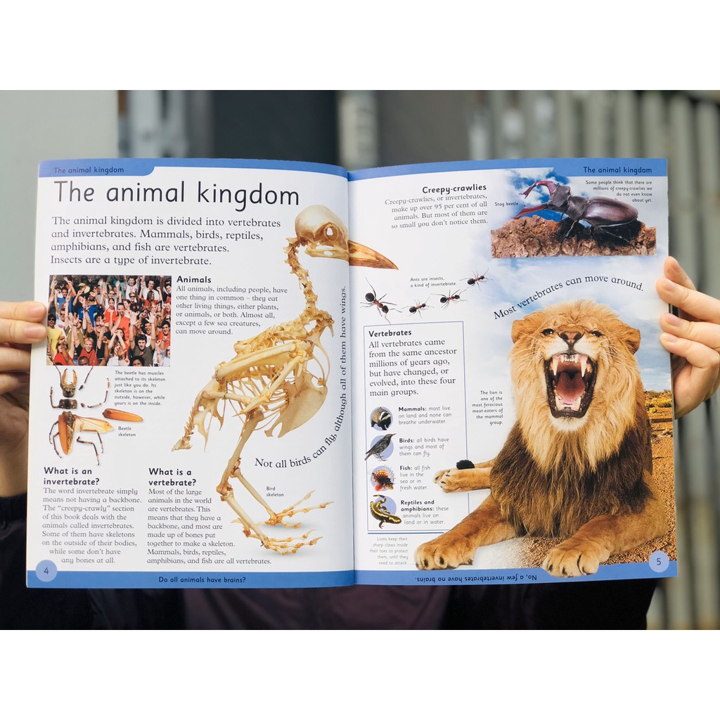 Sách Bách khoa toàn thư - First Animal Encyclopedia - Tổng Hợp Kiến Thức Về Thế Giới Động Vật, Những Điều Mà Trẻ Em Luôn Muốn Biết - Á Châu Books, Bìa Cứng, In Màu
