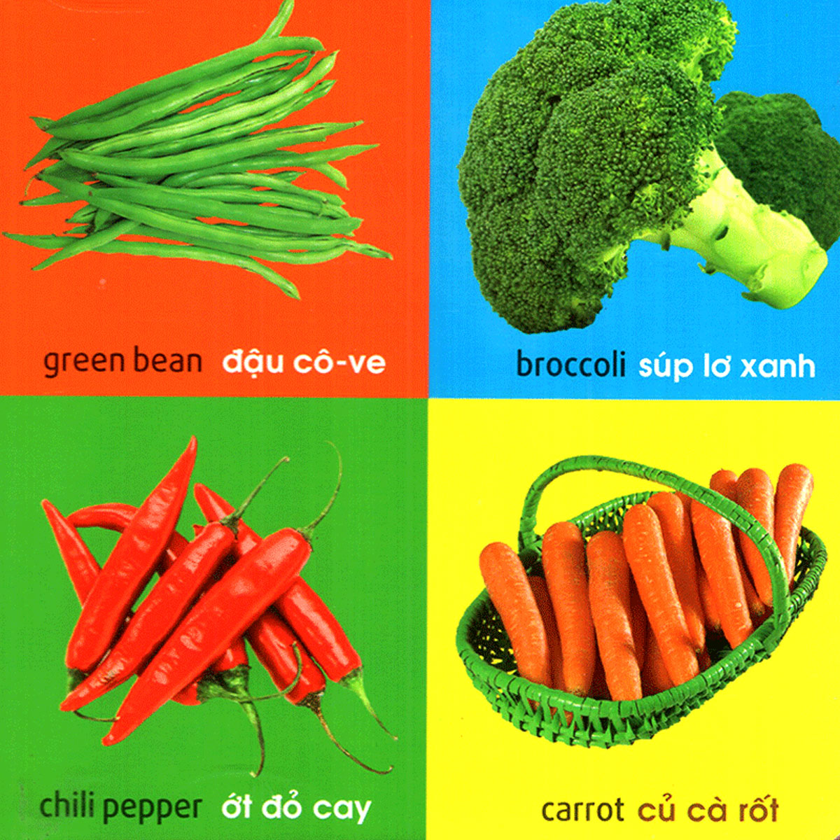 101 First Words - Plants  _ML