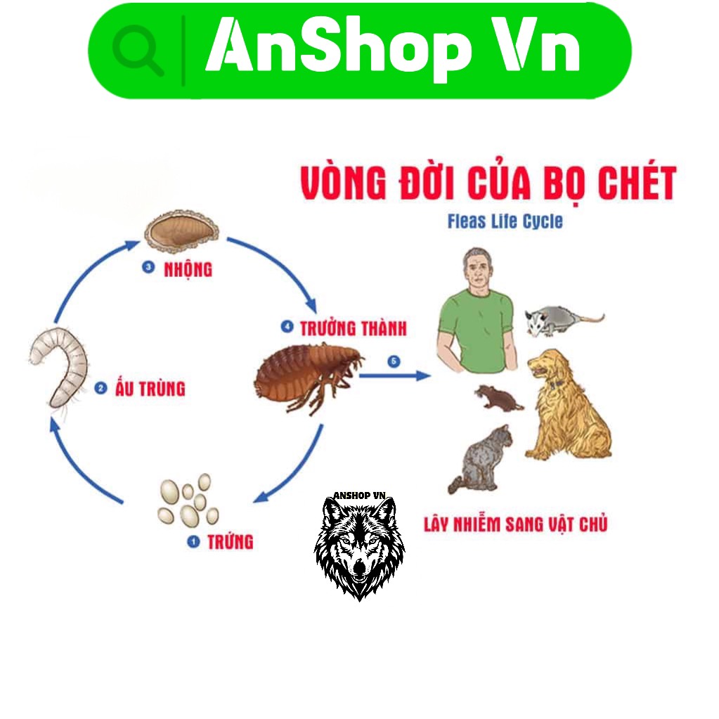 Nhỏ Gáy Fronil Và Viên Nhai Eto Modex Diệt Ve Ghẻ, Nấm Nặng, Rận Bọ Chét Cho Chó Mèo