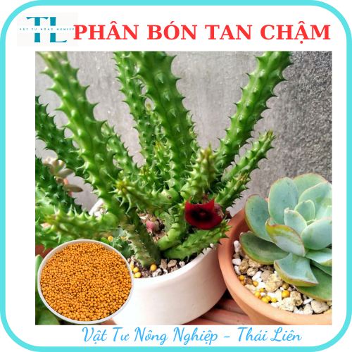 Phân tan chậm thái lan phân vàng Osmocote 14-14-14 túi 100g tiện lợi trồng xương rồng sen đá