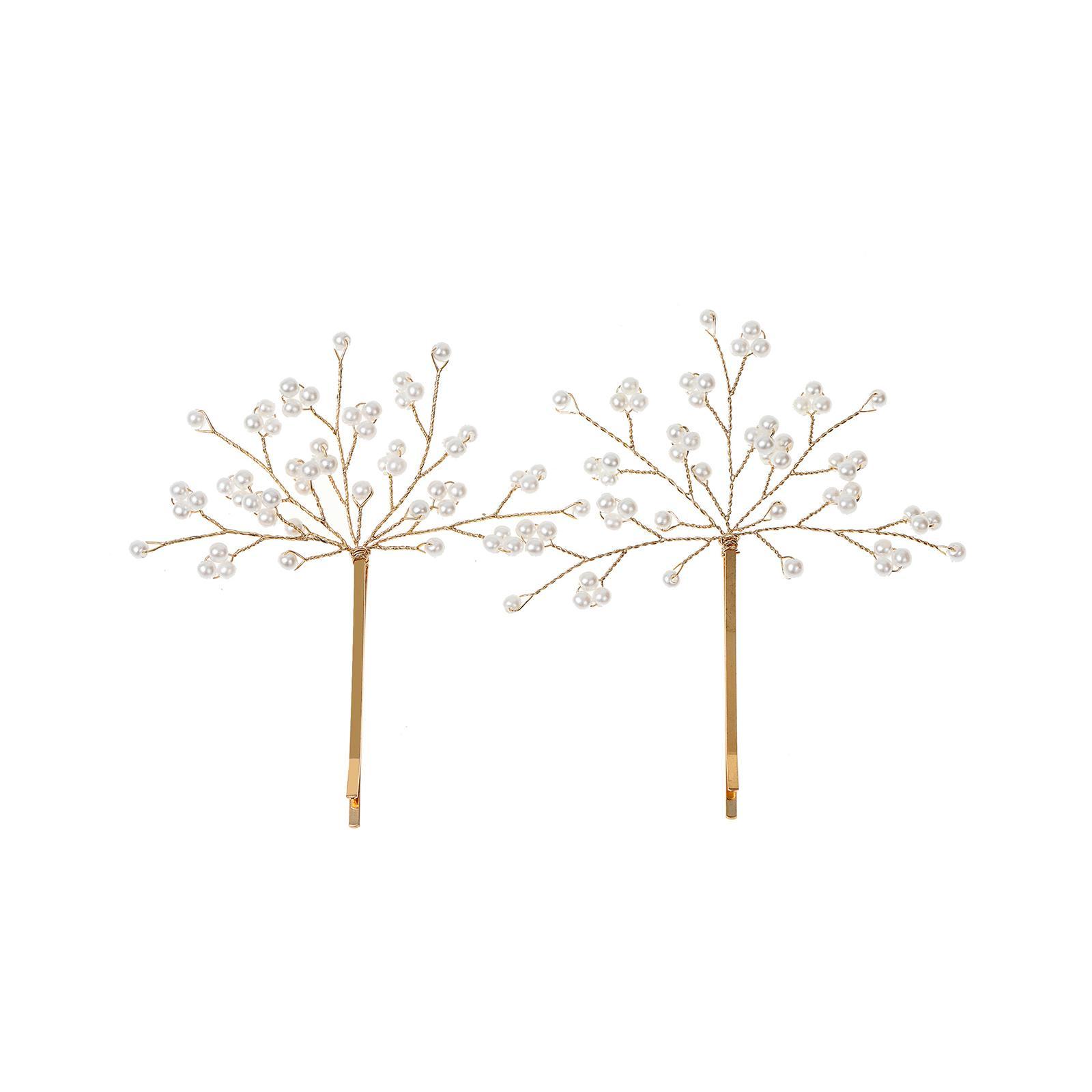 2Pcs Hair Clips Elegant Hair Styling Tool Hair Accessories Snap Hairpins