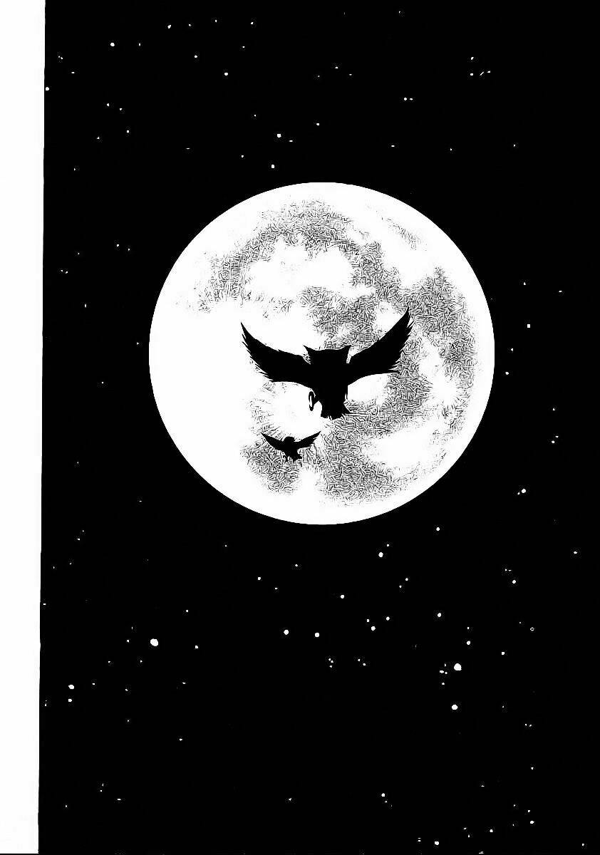 red living on the edge - người da đỏ lang thang chapter 32 4